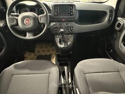 Fiat Panda 1.0 FireFly S&S Hybrid City Life Nero usata Lonato del Garda