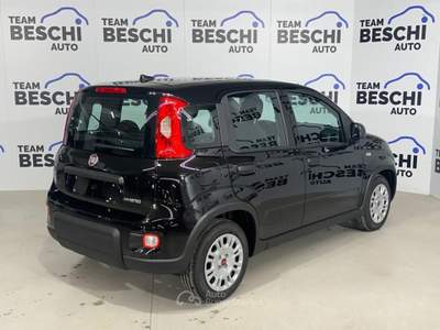 Fiat Panda 1.0 FireFly S&S Hybrid City Life Nero usata Lonato del Garda