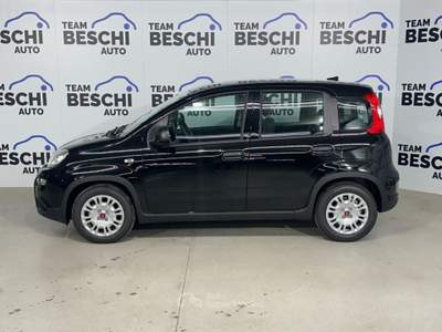 Fiat Panda 1.0 FireFly S&S Hybrid City Life Nero usata Lonato del Garda