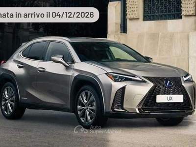 Lexus UX 300h Urban Argento usata Pieve di Cento