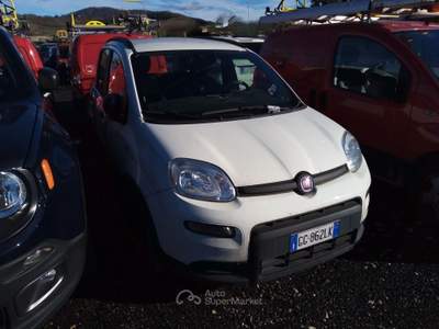 Fiat Panda FireFly S&S Hybrid City Life Bianco usata Sannicola