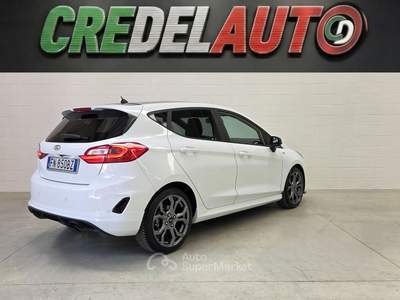 Ford Fiesta Fiesta ST-line 1.0 Ecoboost 100 CV Bianco usata Caino