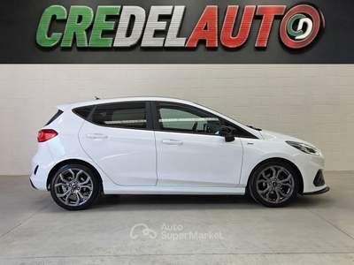 Ford Fiesta Fiesta ST-line 1.0 Ecoboost 100 CV Bianco usata Caino