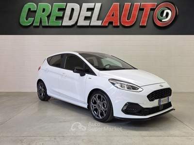 Ford Fiesta Fiesta ST-line 1.0 Ecoboost 100 CV Bianco usata Caino