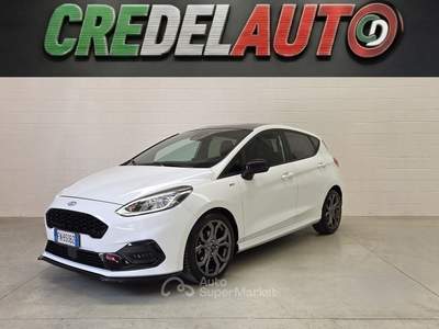 Ford Fiesta Fiesta ST-line 1.0 Ecoboost 100 CV Bianco usata Caino