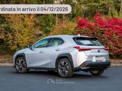 Lexus UX 300h F-Design Argento usata Pieve di Cento