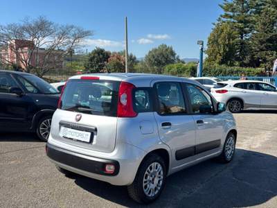 Fiat Panda EASY Argento usata Francolise