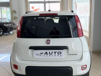 Fiat Panda FireFly S&S Hybrid City Life Bianco usata San Felice a Cancello