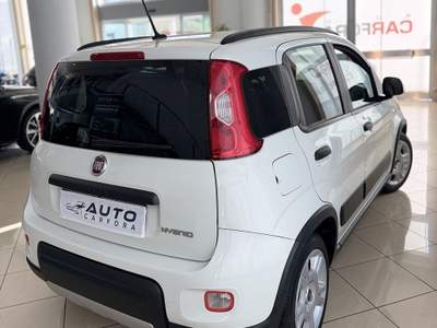 Fiat Panda FireFly S&S Hybrid City Life Bianco usata San Felice a Cancello
