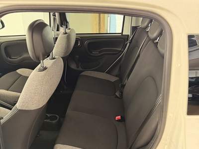 Fiat Panda FireFly S&S Hybrid City Life Bianco usata San Felice a Cancello