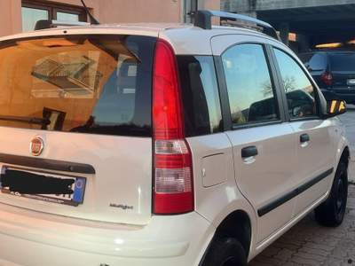 Fiat Panda fiat panda 1.3 mtj 4x4 Bianco usata San Potito Sannitico