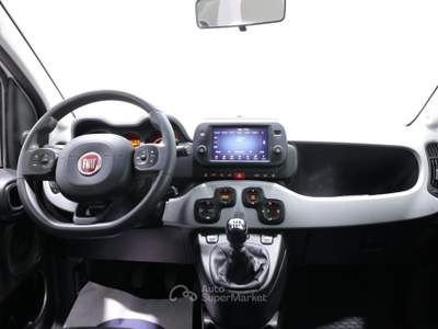 Fiat Panda 1.0 FIREFLY S&S HYBRID CITY CROSS NEOPATENTATI Bianco usata Brescia