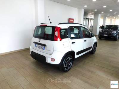 Fiat Panda 1.0 FireFly S&S Hybrid City Life Bianco usata Isola del Liri
