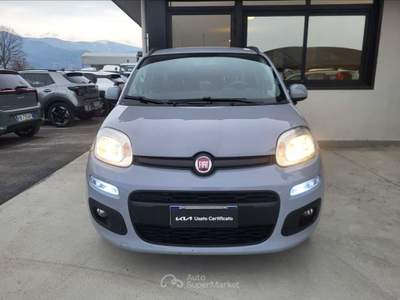 Fiat Panda Panda 1.2 lounge gpl 69cv usata San Secondo di Pinerolo