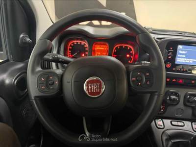 Fiat Panda Panda 1.0 sport Bianco usata Cuneo