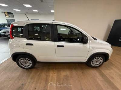Fiat Panda Panda 1.0 sport Bianco usata Cuneo