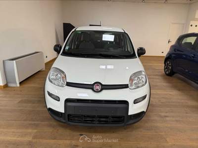 Fiat Panda Panda 1.0 sport Bianco usata Cuneo