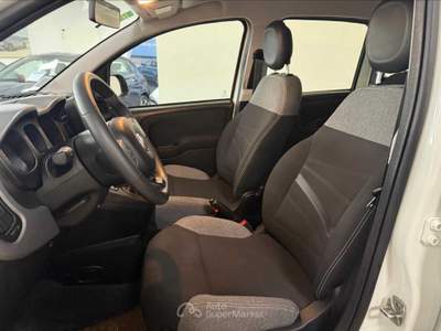 Fiat Panda Panda 1.0 sport Bianco usata Cuneo