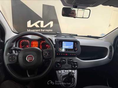 Fiat Panda Panda 1.0 sport Bianco usata Cuneo