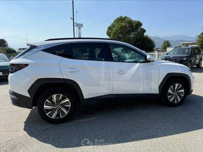 Hyundai Tucson Tucson 1.6 hev xline Bianco usata Cuneo
