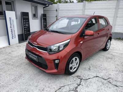 Kia Picanto Picanto 1.0 urban Rosso usata Cuneo