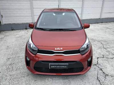 Kia Picanto Picanto 1.0 urban Rosso usata Cuneo