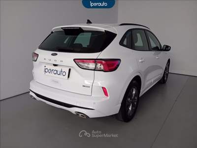 Ford Kuga 2.5 full hybrid st-line 2wd 190cv cvt Bianco usata Cava Manara