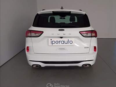 Ford Kuga 2.5 full hybrid st-line 2wd 190cv cvt Bianco usata Cava Manara