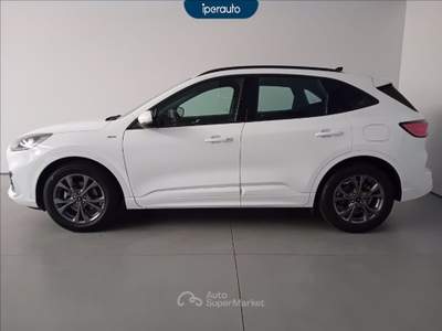 Ford Kuga 2.5 full hybrid st-line 2wd 190cv cvt Bianco usata Cava Manara