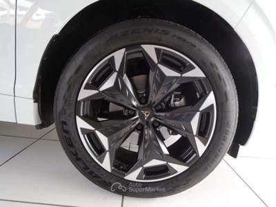 Cupra Terramar 1.5 Hybrid DSG Bianco usata Venezia