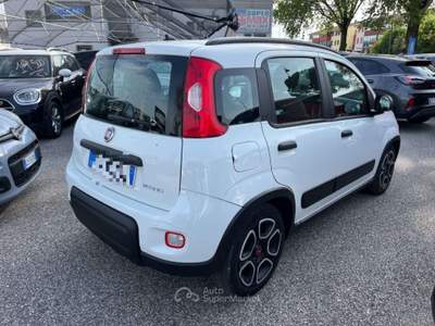Fiat Panda 1.0 FireFly S&S Hybrid City Life PROMO Bianco usata Este