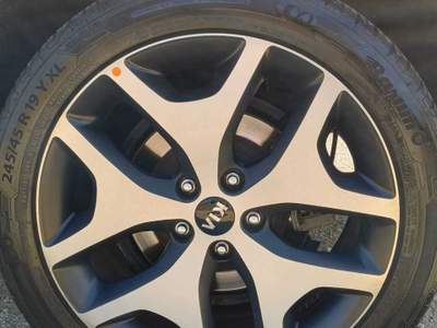 Kia Sportage Kia Sportage GT Line 2.0 CRDI 185CV AWD Automatico Nero usata Romano D'Ezzelino