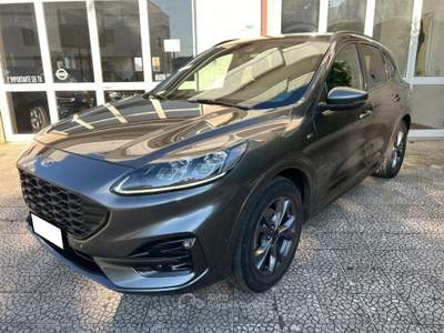 Ford Kuga 1.5 EcoBlue 120 CV 2WD ST-Line Grigio usata Alberobello