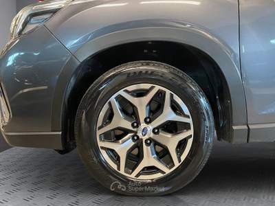 Subaru Forester Forester 2.0i e-boxer 4dventure lineartronic Grigio usata Cuneo