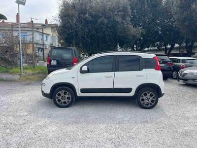 Fiat Panda - INTEGRALE - 4x4 - LEGGERO BATTITO AL MOTORE Bianco usata Massa