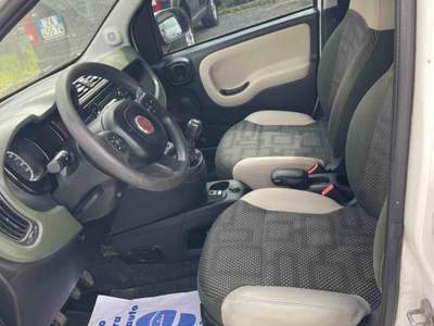Fiat Panda - INTEGRALE - 4x4 - LEGGERO BATTITO AL MOTORE Bianco usata Massa