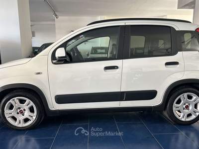 Fiat Panda Panda III  1.0 firefly hybrid s Bianco usata Montecorvino Pugliano