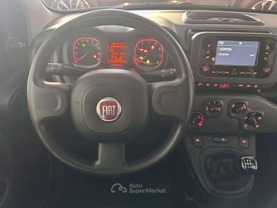 Fiat Panda Panda III  1.0 firefly hybrid s Bianco usata Montecorvino Pugliano