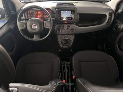Fiat Panda Panda III  1.0 firefly hybrid s Bianco usata Montecorvino Pugliano