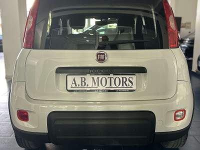 Fiat Panda Panda III  1.0 firefly hybrid s Bianco usata Montecorvino Pugliano