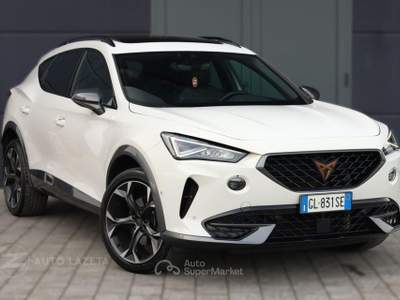 Cupra Formentor 2.0 TSI 4Drive TETTO APRIBILE DSG 4x4 Bianco usata Caorso