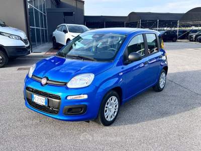 Fiat Panda 1.0 FireFly S&S Hybrid Icon Blu/Azzurro usata Pieve di Soligo