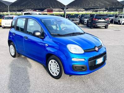 Fiat Panda 1.0 FireFly S&S Hybrid Icon Blu/Azzurro usata Pieve di Soligo