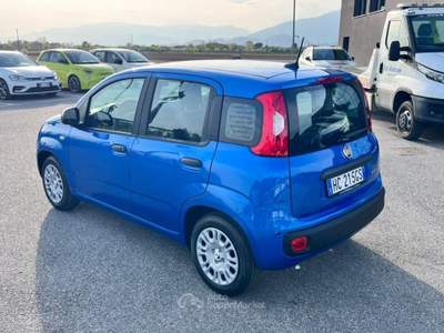 Fiat Panda 1.0 FireFly S&S Hybrid Icon Blu/Azzurro usata Pieve di Soligo