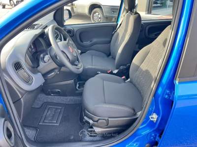 Fiat Panda 1.0 FireFly S&S Hybrid Icon Blu/Azzurro usata Pieve di Soligo