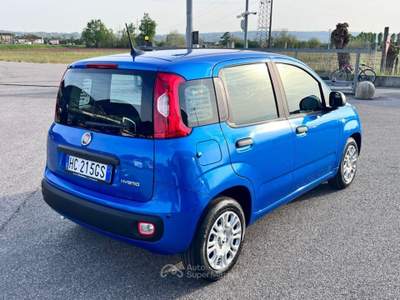 Fiat Panda 1.0 FireFly S&S Hybrid Icon Blu/Azzurro usata Pieve di Soligo