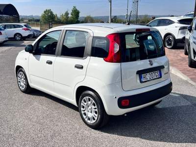 Fiat Panda 1.0 FireFly S&S Hybrid Icon Bianco usata Pieve di Soligo