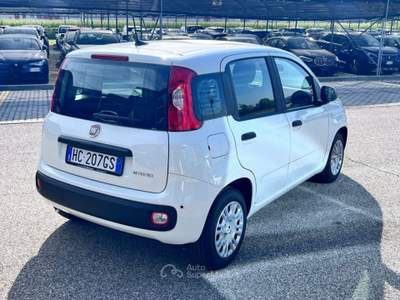 Fiat Panda 1.0 FireFly S&S Hybrid Icon Bianco usata Pieve di Soligo