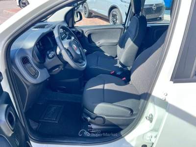 Fiat Panda 1.0 FireFly S&S Hybrid Icon Bianco usata Pieve di Soligo