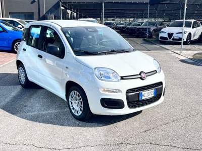 Fiat Panda 1.0 FireFly S&S Hybrid Icon Bianco usata Pieve di Soligo